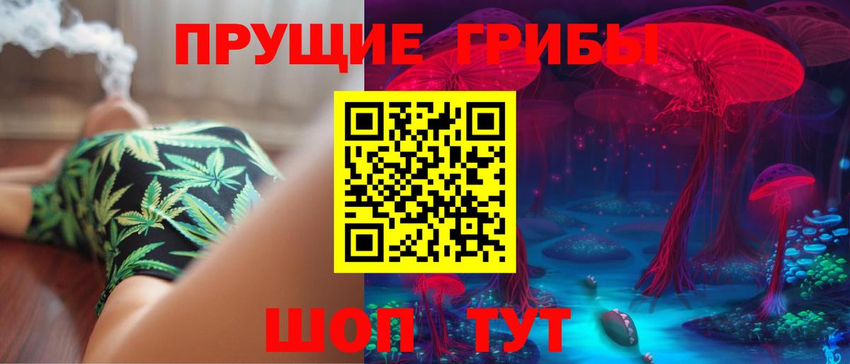 Советская Гавань  Галлюциногенные грибы Psilocybe  Вход с VPN 